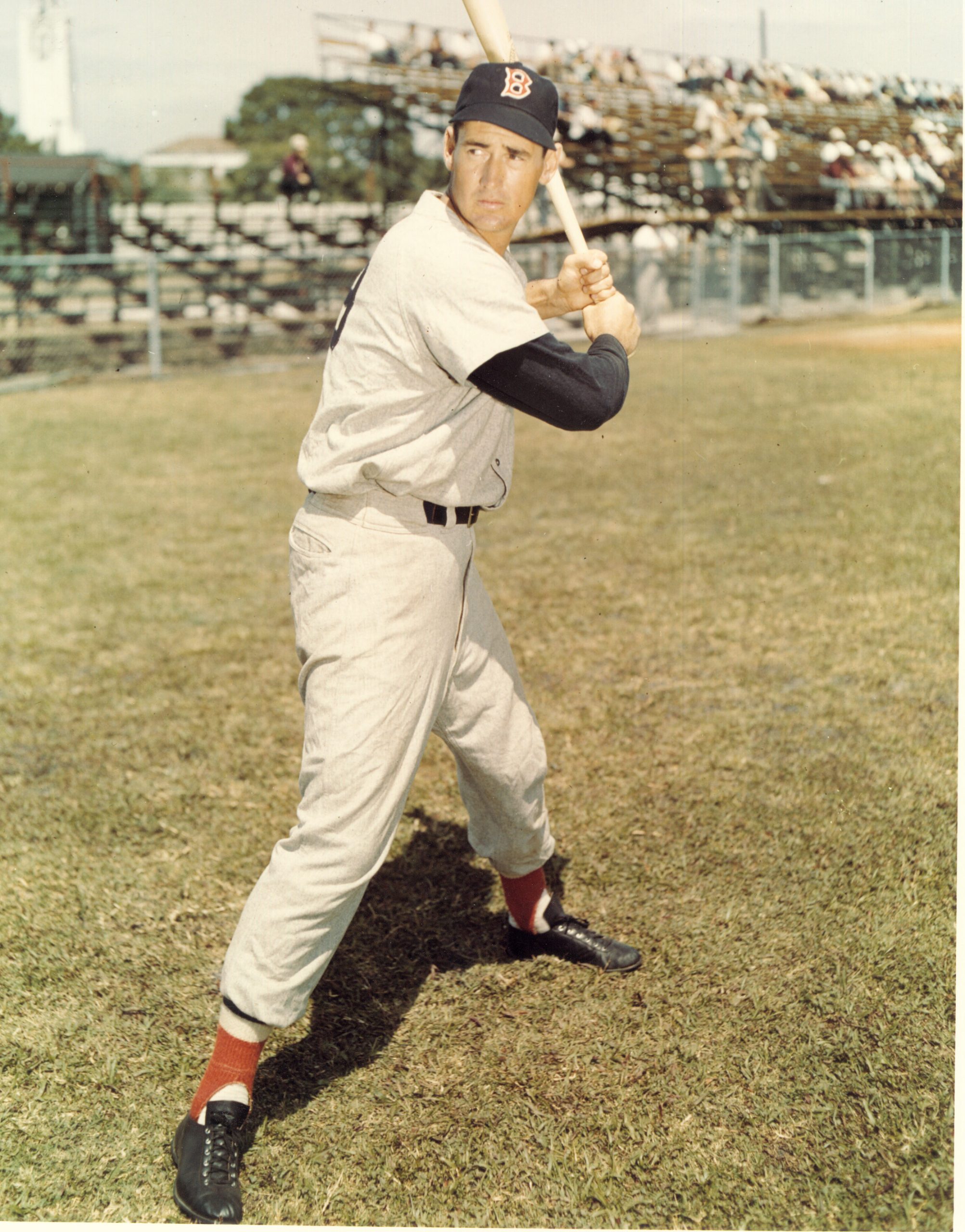 When nineteen-year-old Ted Williams arrived at his first spring training ca...